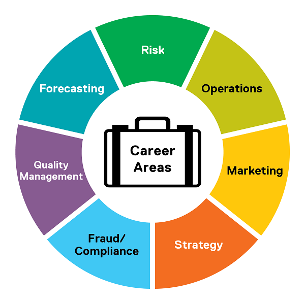 A career area wheel showing risk, operations, marketing, strategy, fraud/compliance, quality management, forecasting